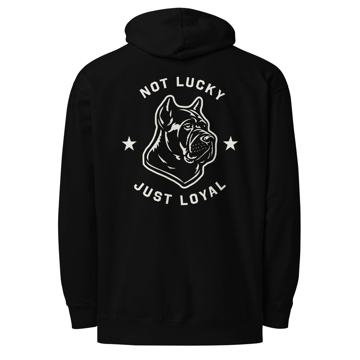 The Icon Hoodie